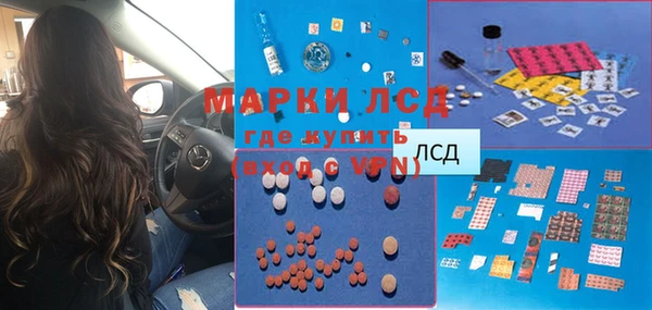 эйфоретик Покачи
