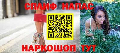 гидра Аргун