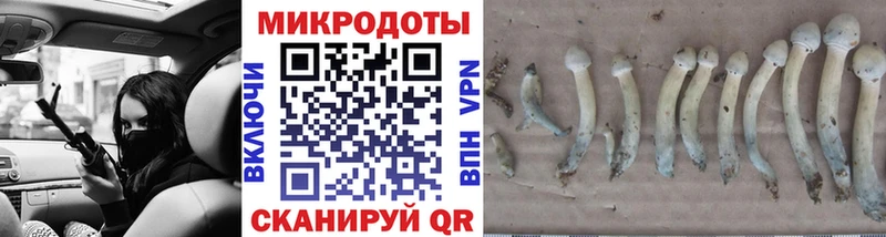 Галлюциногенные грибы прущие грибы  OMG   Большой Камень 