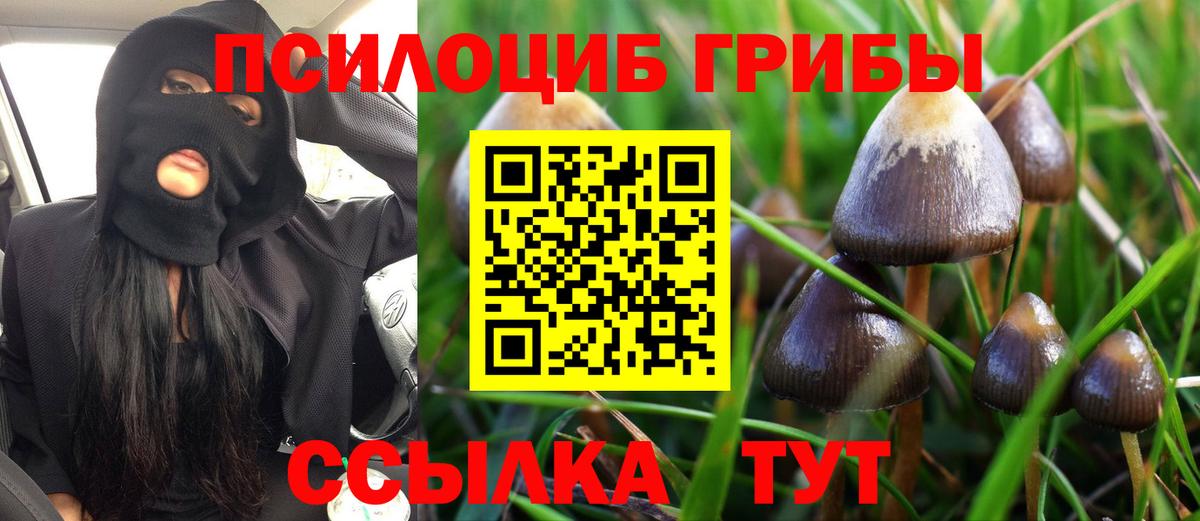 Псилоцибиновые грибы мухоморы Большой Камень