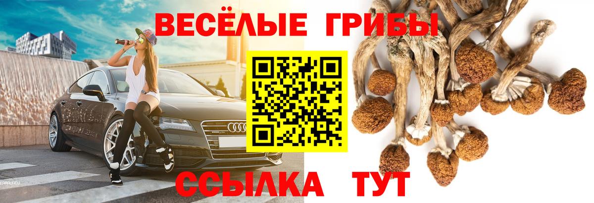 Большой Камень  магазин    Вход с VPN  Псилоцибиновые грибы MAGIC MUSHROOMS 