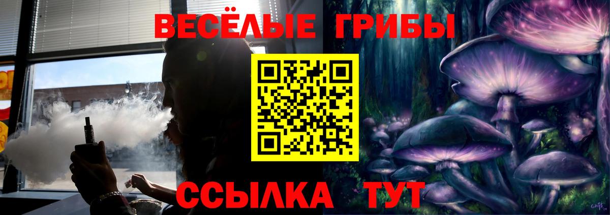 Псилоцибиновые грибы прущие грибы Большой Камень